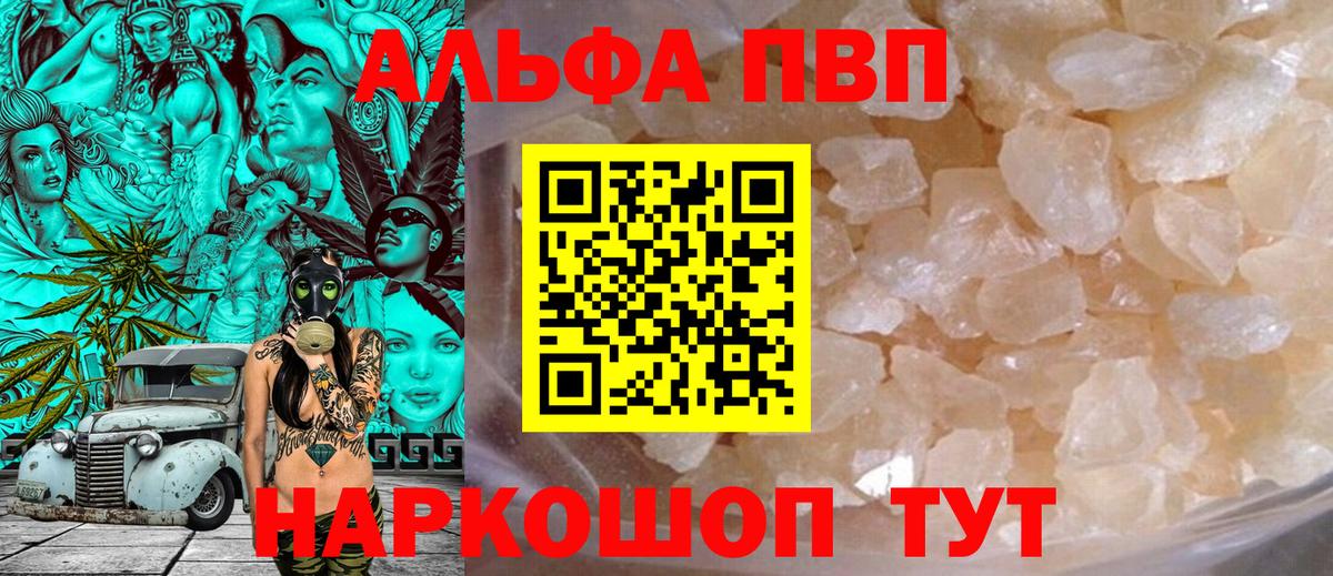 A PVP СК Сосновый Бор