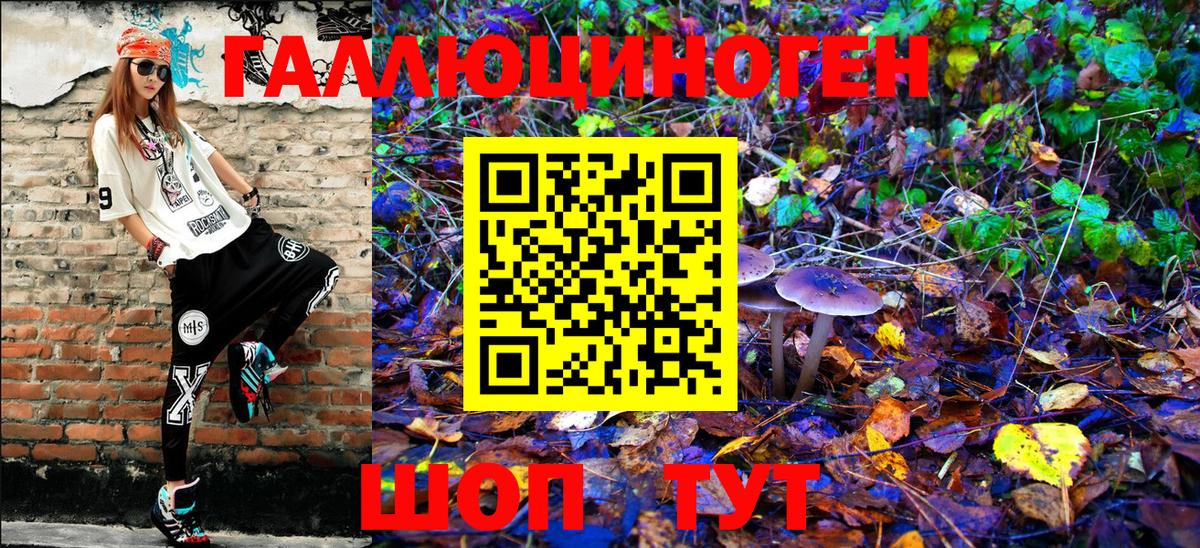 Сосновый Бор  Псилоцибиновые грибы Psilocybe  купить наркотики сайты  Вход с VPN  Псилоцибиновые грибы мухоморы 
