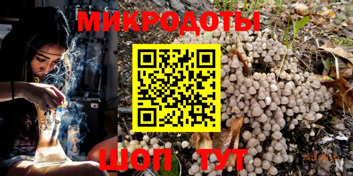 Псилоцибиновые грибы Cubensis Сосновый Бор